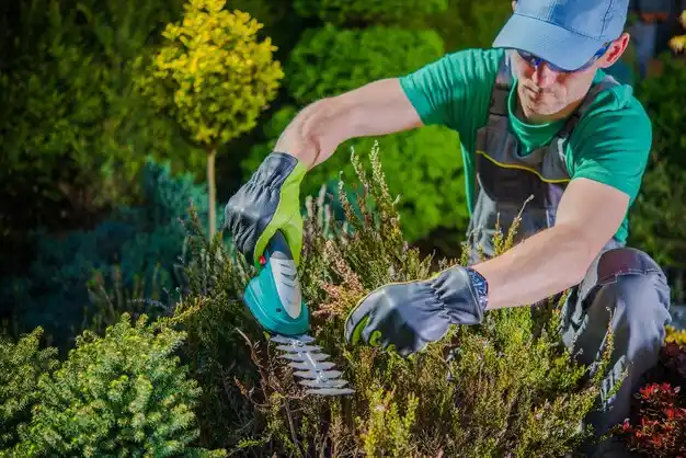 landscaping services Nissequogue